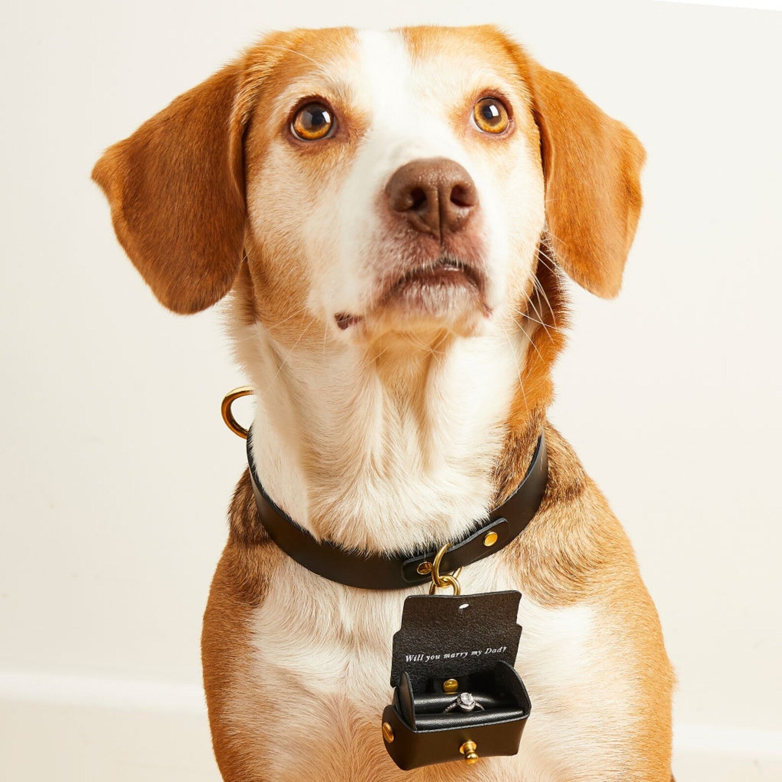 Personalized Engagement Ring Pouch with Dog πΆπ