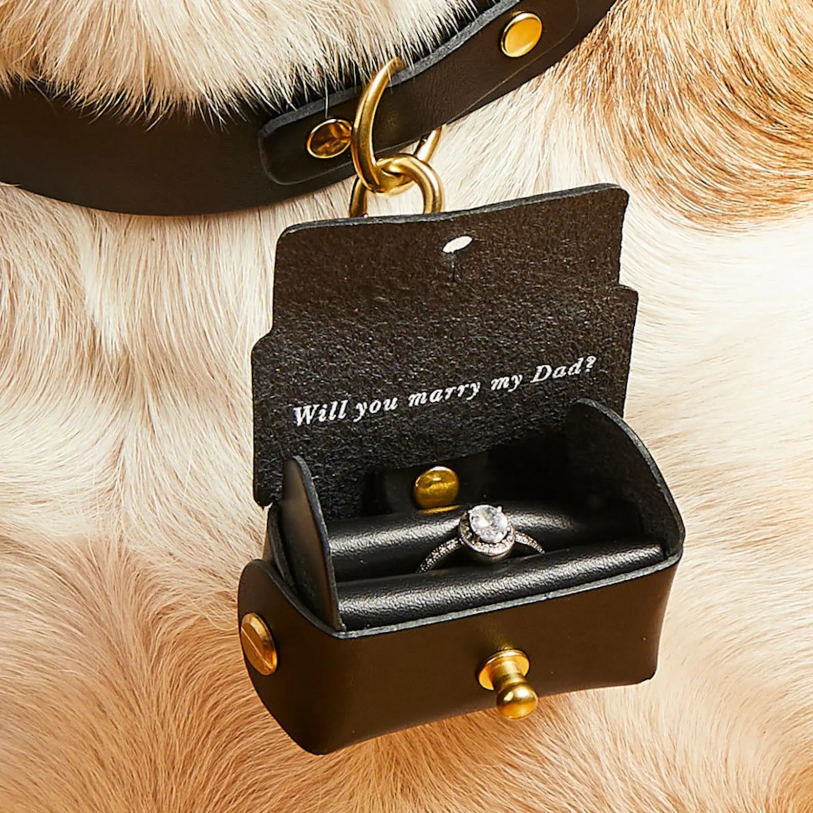 Personalized Engagement Ring Pouch with Dog 🐶💍